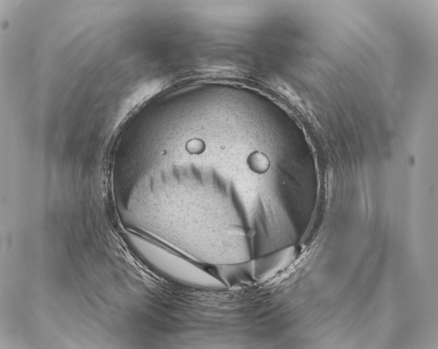 X0000087391405200705111749