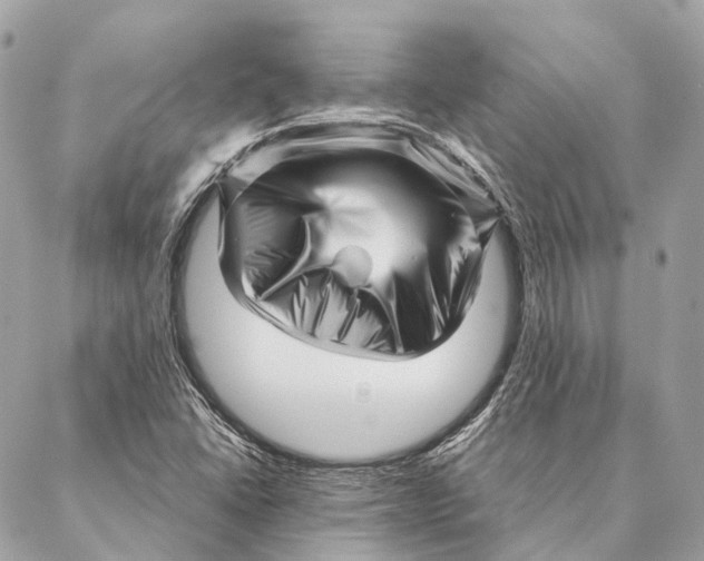 X0000087391406200705111749