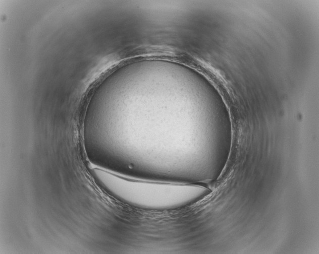 X0000087391407200705111749