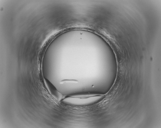 X0000087391408200705111749