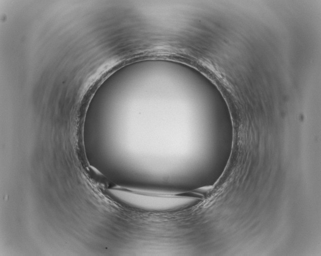 X0000087391410200705111749