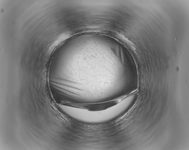 X0000087391411200705111749