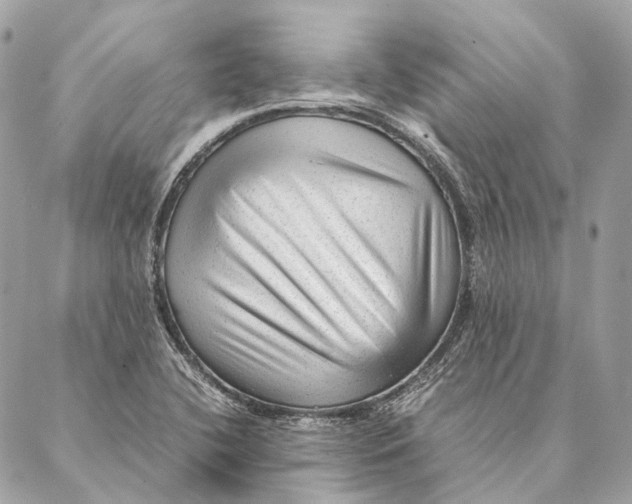 X0000087391412200705111749