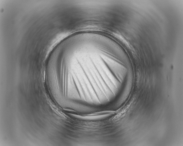 X0000087391413200705111749