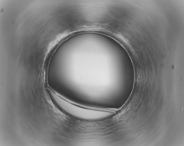 X0000087391414200705111749