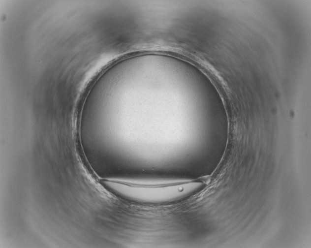 X0000087391416200705111749