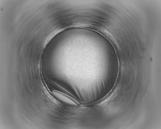 X0000087391417200705111749