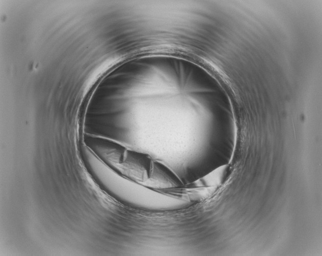 X0000087391418200705111749