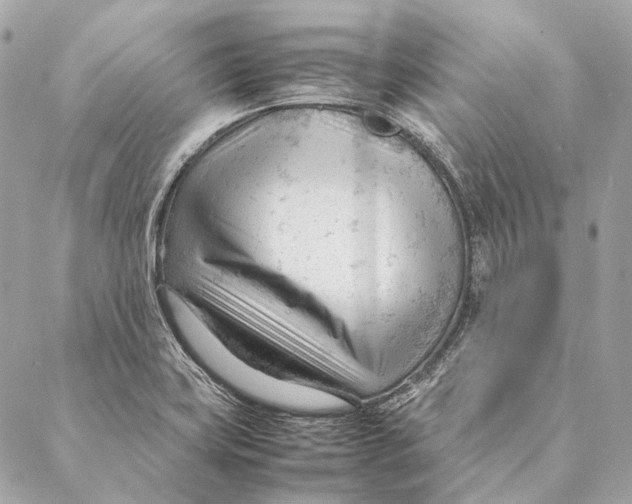 X0000087391419200705111749