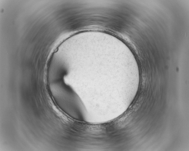 X0000087391421200705111749