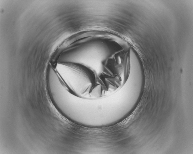 X0000087391422200705111749