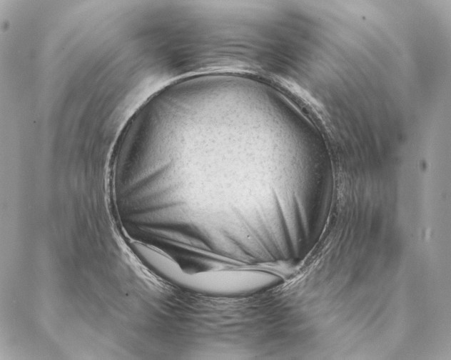 X0000087391423200705111749