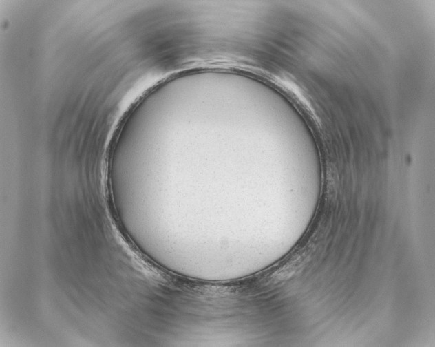 X0000087391424200705111749