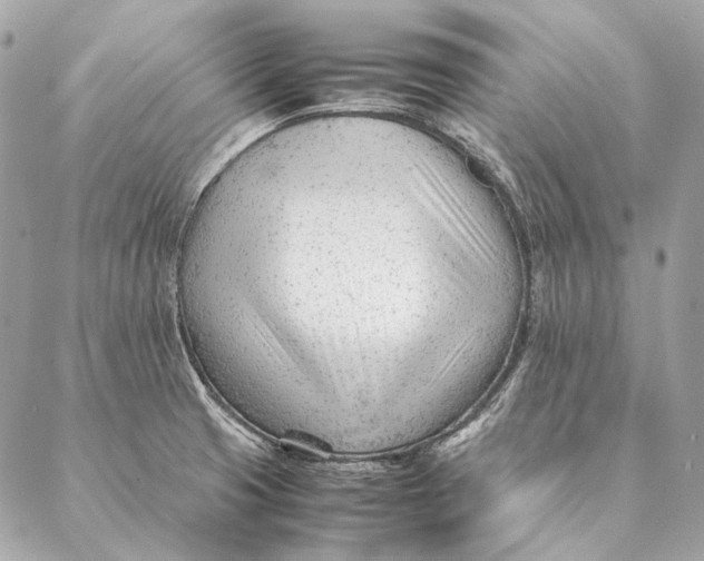 X0000087391425200705111749