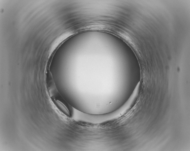 X0000087391426200705111749