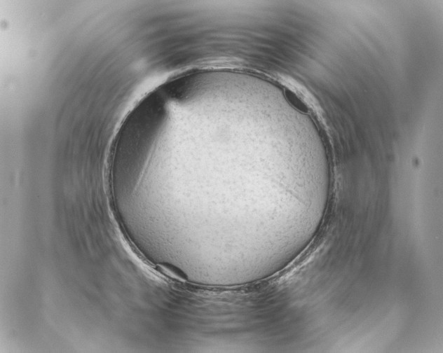 X0000087391429200705111749