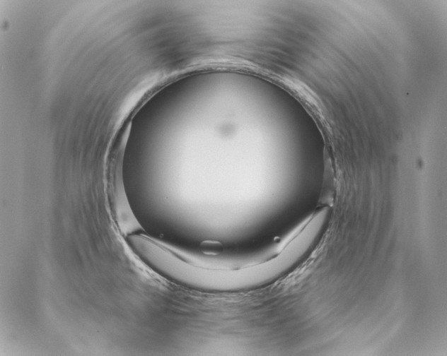 X0000087391430200705111749