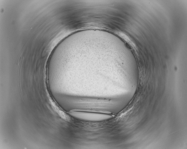 X0000087391431200705111749