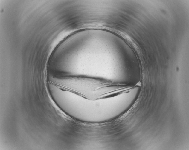 X0000087391432200705111749