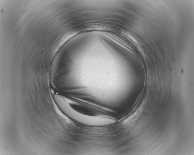 X0000087391433200705111749