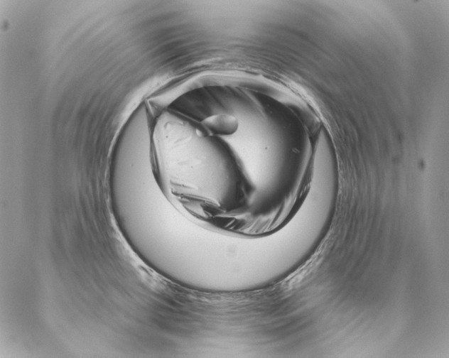 X0000087391434200705111749