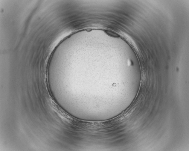 X0000087391435200705111749