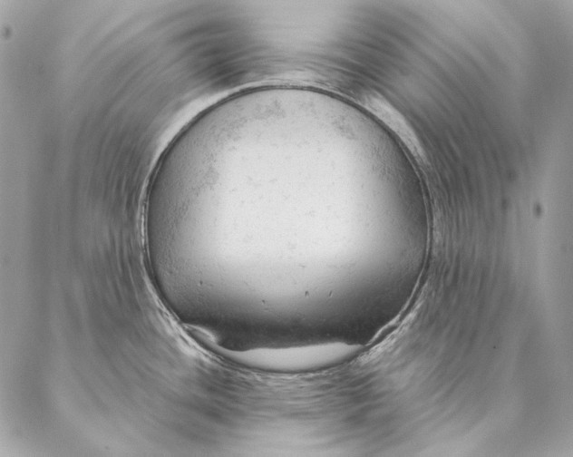 X0000087391436200705111749