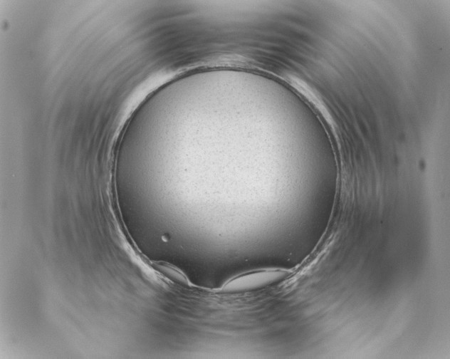 X0000087391437200705111749