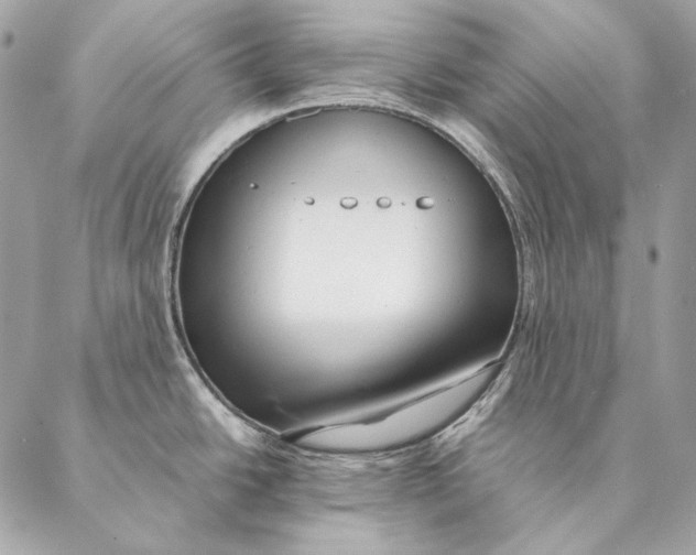 X0000087391438200705111749