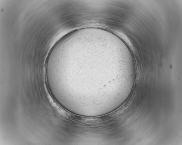 X0000087391439200705111749