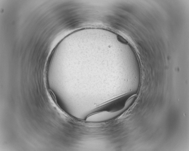 X0000087391440200705111749