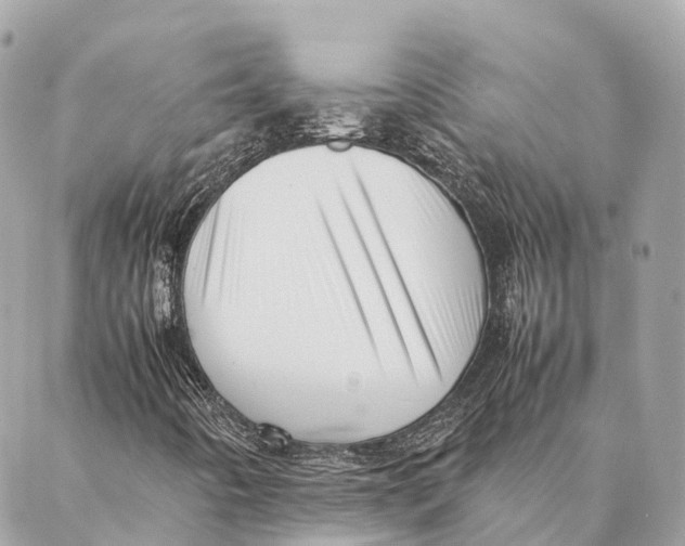 X0000087391442200705111749