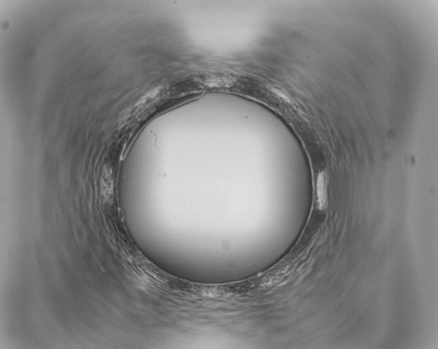 X0000087391443200705111749