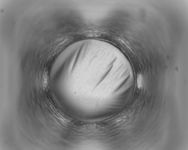 X0000087391444200705111749