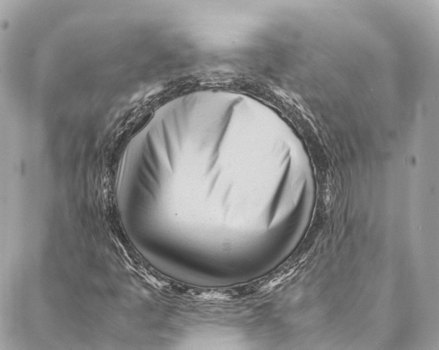 X0000087391445200705111749