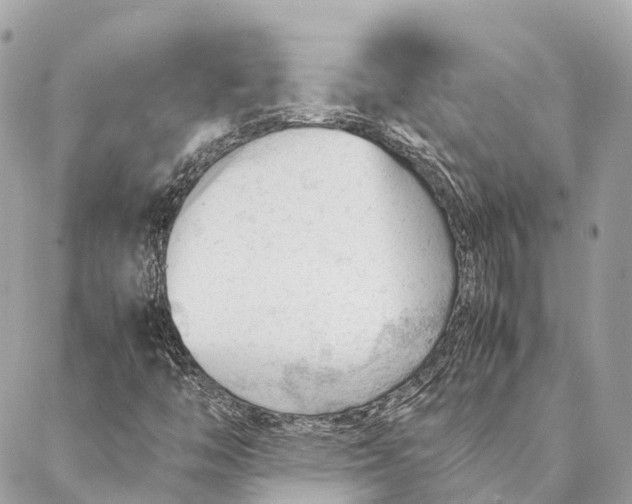 X0000087391446200705111749