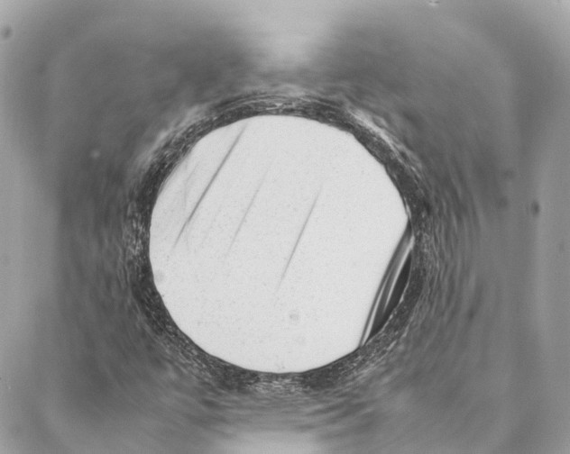 X0000087391447200705111749