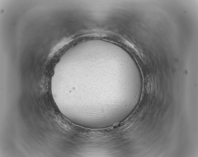 X0000087391448200705111749