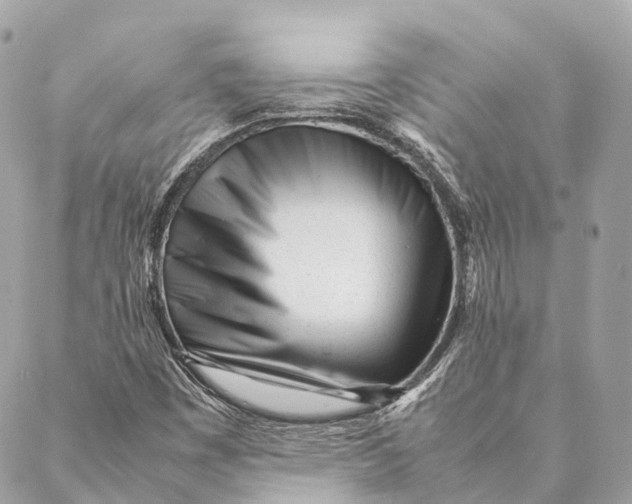 X0000087391449200705111749