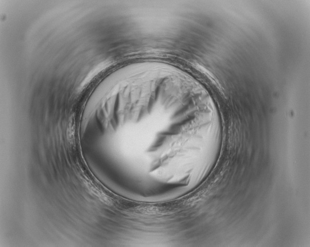 X0000087391450200705111748