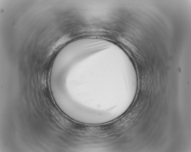 X0000087391451200705111748