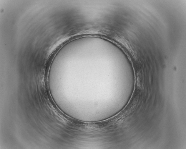 X0000087391452200705111748