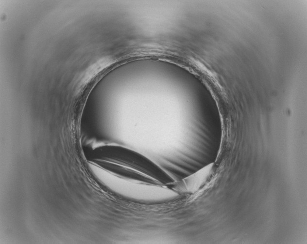 X0000087391453200705111748