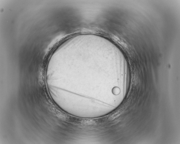 X0000087391454200705111748