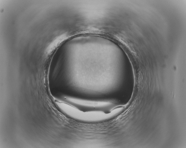 X0000087391455200705111748