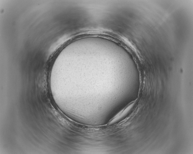 X0000087391456200705111748