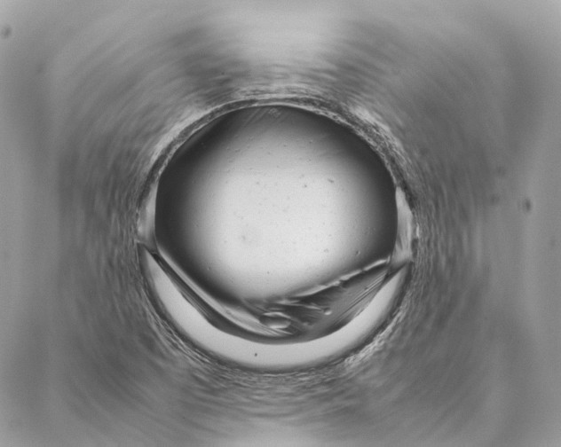 X0000087391457200705111748