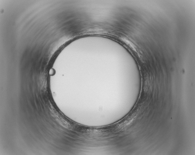 X0000087391458200705111748