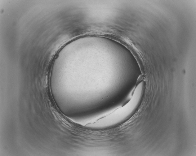 X0000087391459200705111748