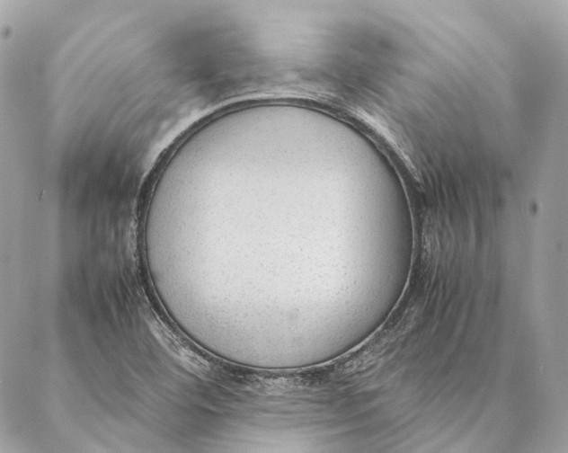 X0000087391460200705111748